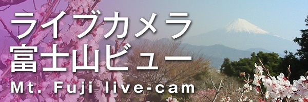 ライブカメラ富士山ビュー